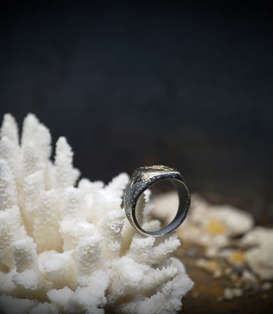 Chevaliere en or et argent pièce unique Lovely Storm.