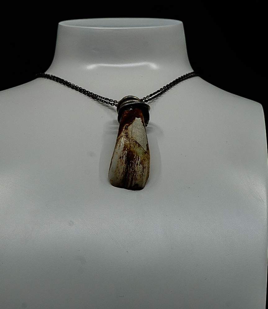 First Men Collection - Collier Argent Massif et dent de Yach