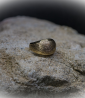 Bague en Or 18 KT.  Matière: Or 750/1000  Poids: 5,6 grammes