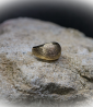 Bague en Or 18 KT.  Matière: Or 750/1000  Poids: 5,6 grammes