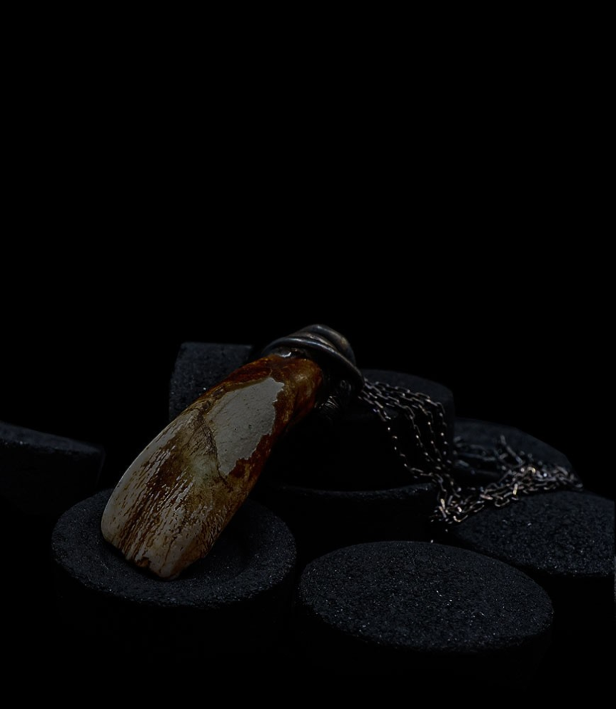 First Men Collection - Collier Argent Massif et dent de Yach