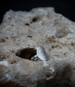 Lovely Storm Collection - Bague Argent Massif   Matière: Argent massif 925/1000 Poids: 1,7 grammes