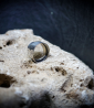 Lovely Storm Collection - Sterling Silver Ring (19mm width)    Material: 925 Sterling Silver  Stone: No  Weight: 9.4 grams