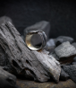 Héphaïstos Collection - Bague Argent Massif  Matière: Argent massif 925/1000 Pierre: Non Poids: 17,8 grammes