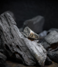 Bague Argent Massif et Diamant.  Matière: Argent massif 925/1000 Pierre: Diamants (0,25 carat) Poids: 24,7 grammes