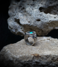 Geologic Collection - Sterling Silver and Turquoise Rings    Material: Sterling Silver 925/1000  Stone: Turquoise (3.1 carats)  