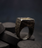 First Men Collection - Silver Ring and Fossilized Dinosaur Bone