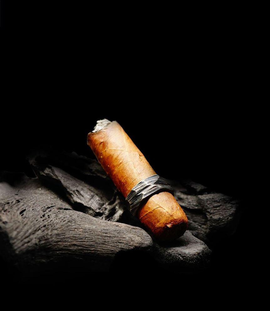 création anthony barrouyer