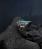 Designer ring in silver and turquoise
