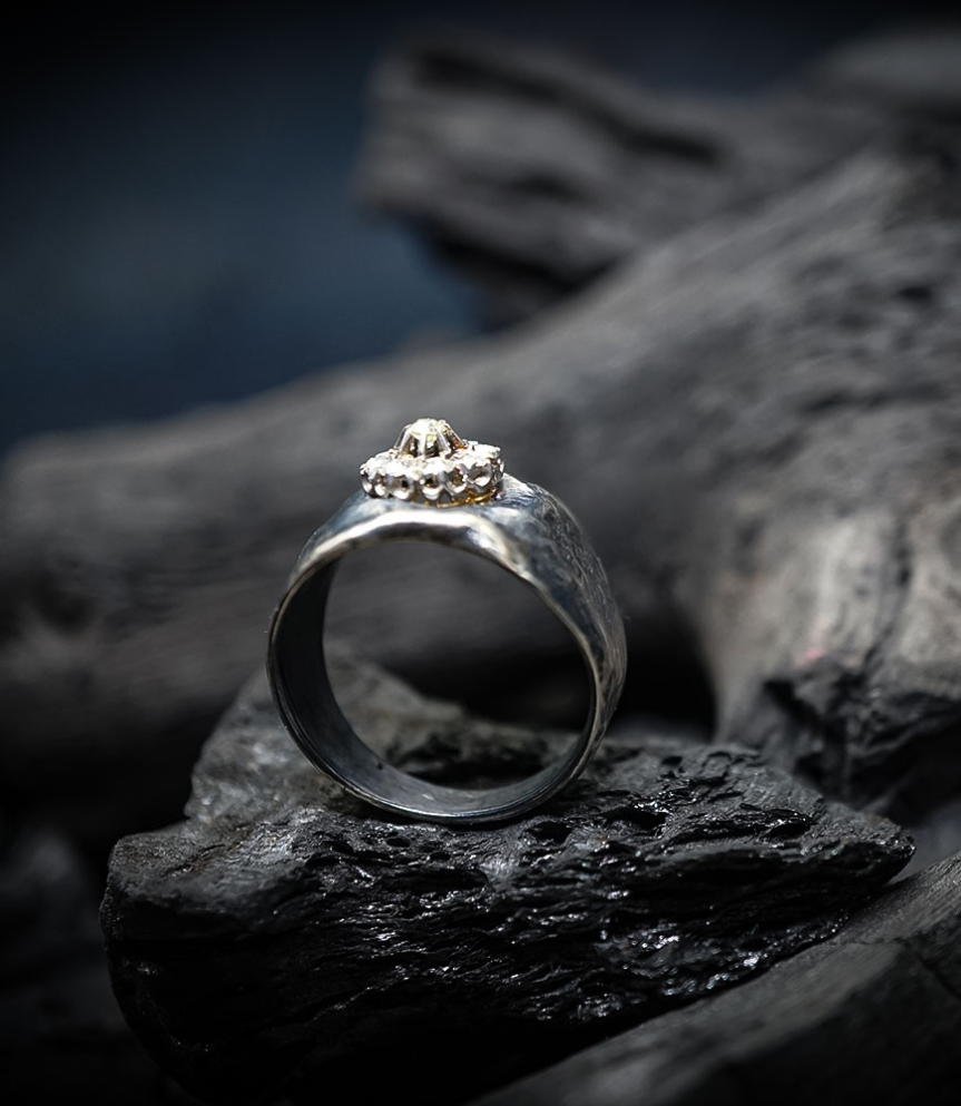 Geologic Stones Collection