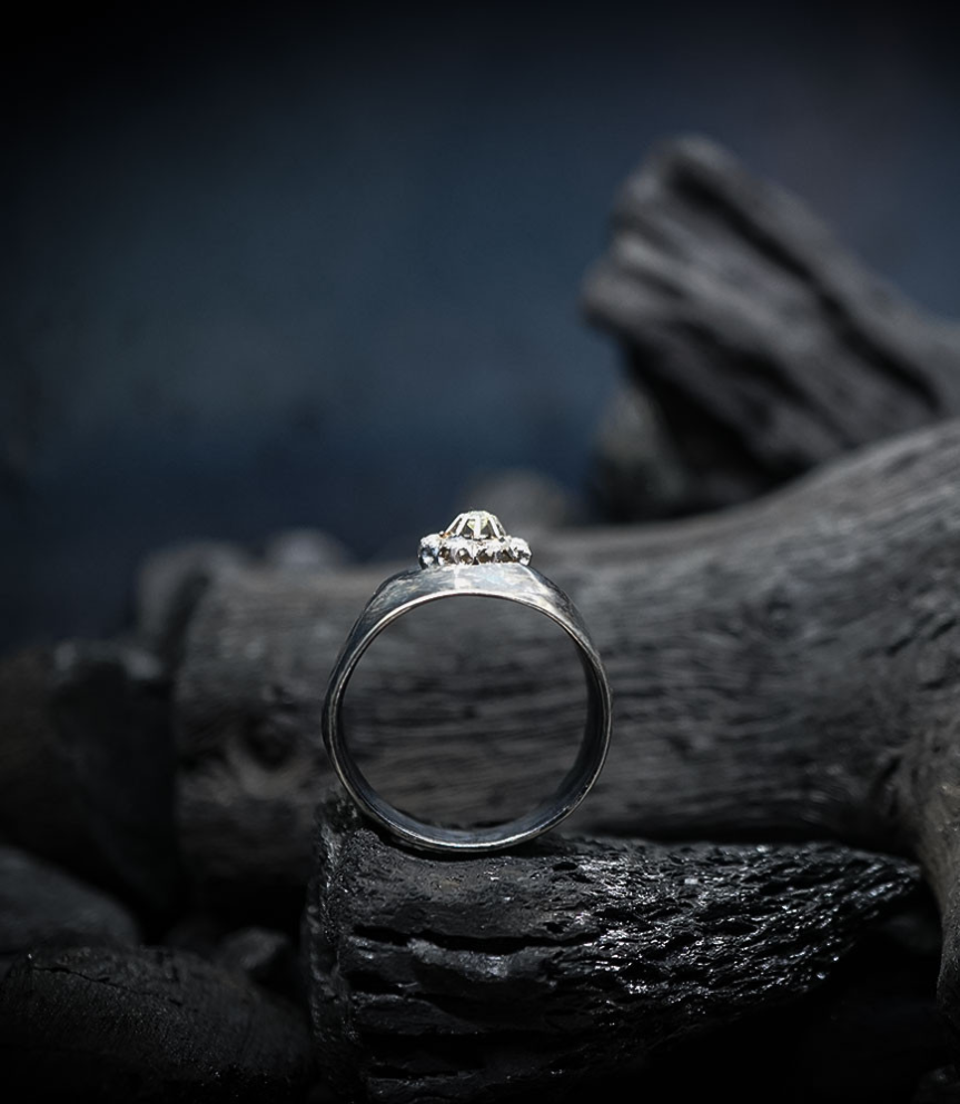 Geologic Stones Collection