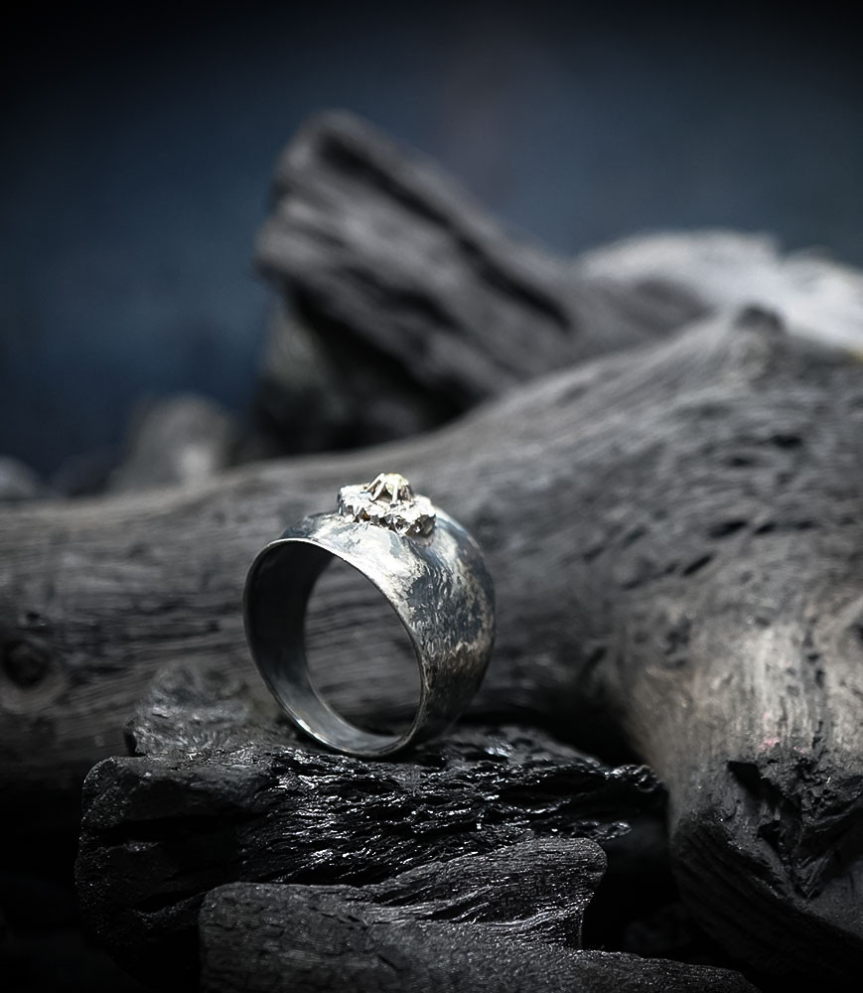 Geologic Stones Collection