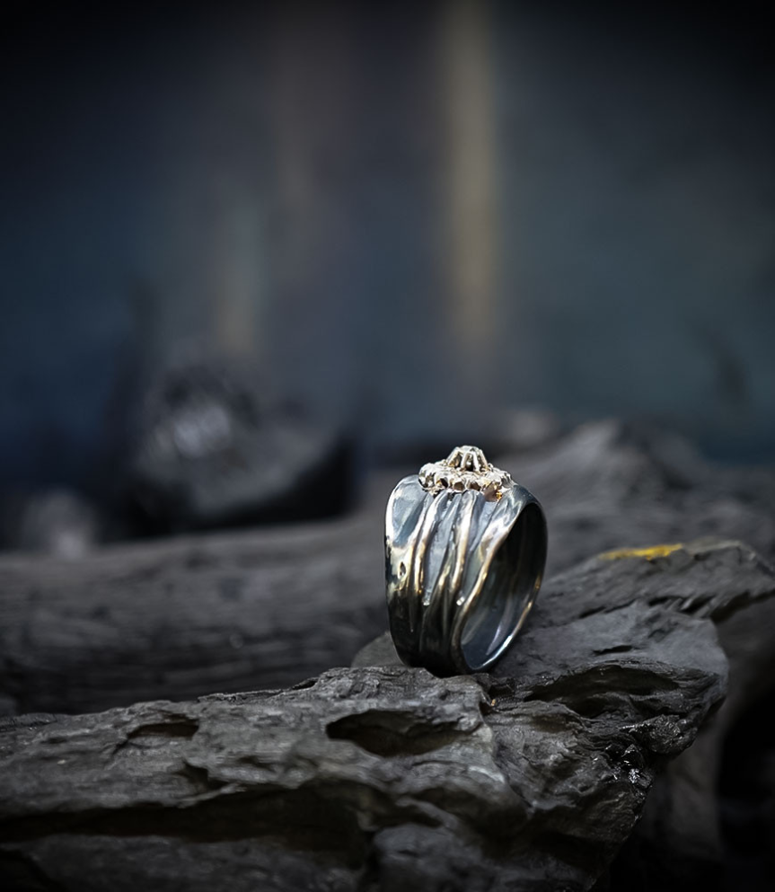 Geologic Stones Collection