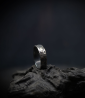Bague créé par Anthony Barrouyer en argent massif.