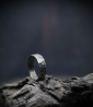 Bague créé par Anthony Barrouyer en argent massif.